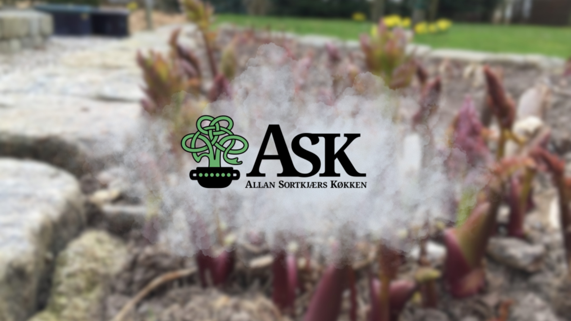 Forkæl gæsterne med menuer til Mortens Aften og julefrokosten fra ASK