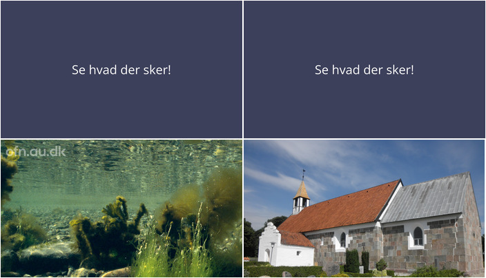 Foredrag om havets tilstand og alderdommens kvaliteter i Låsby - Se hvad der sker den kommende uge