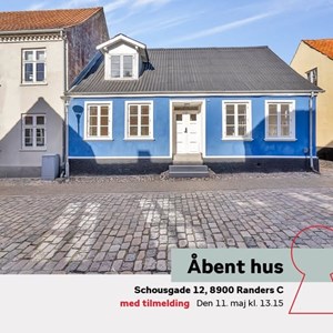 Opslagsbillede