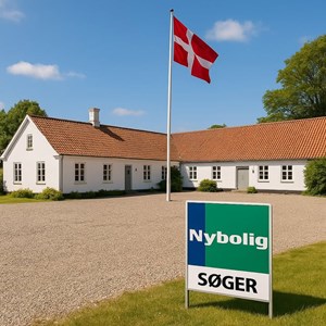 Opslagsbillede