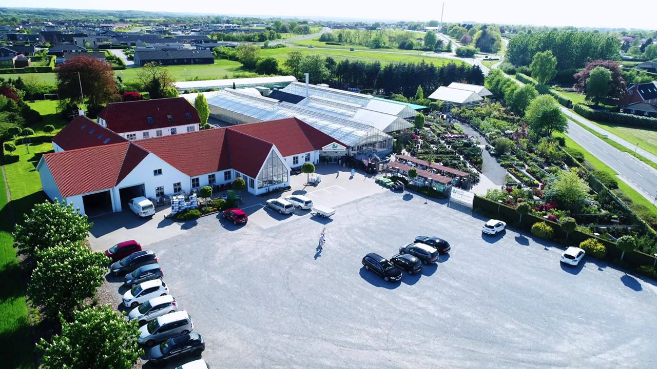 Velkommen foråret med skønne blomster fra Asmild Plantecenter