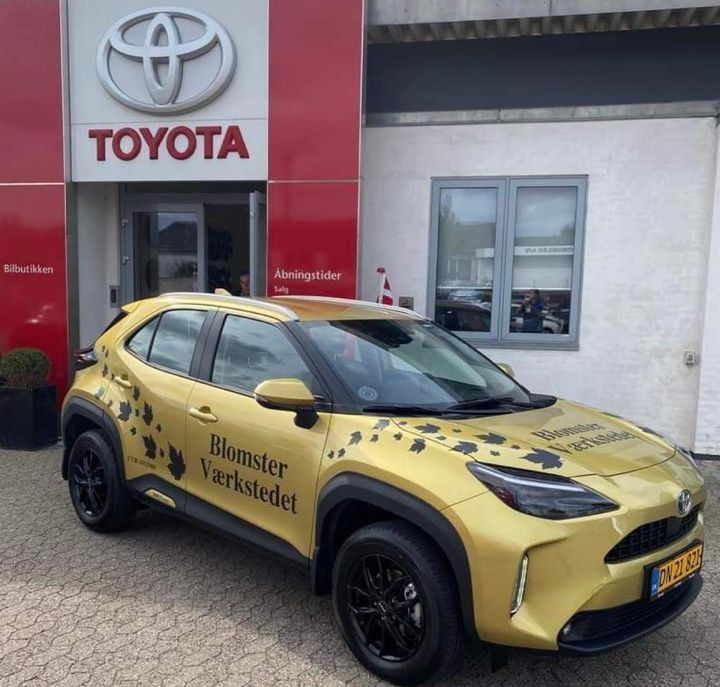 Opdatér dig her: Det nyeste fra Grenaa