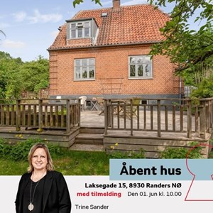 Opslagsbillede
