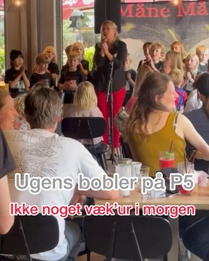 opslagsbillede