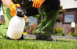 Ny kampagne gør det attraktivt at komme af med pesticiderne