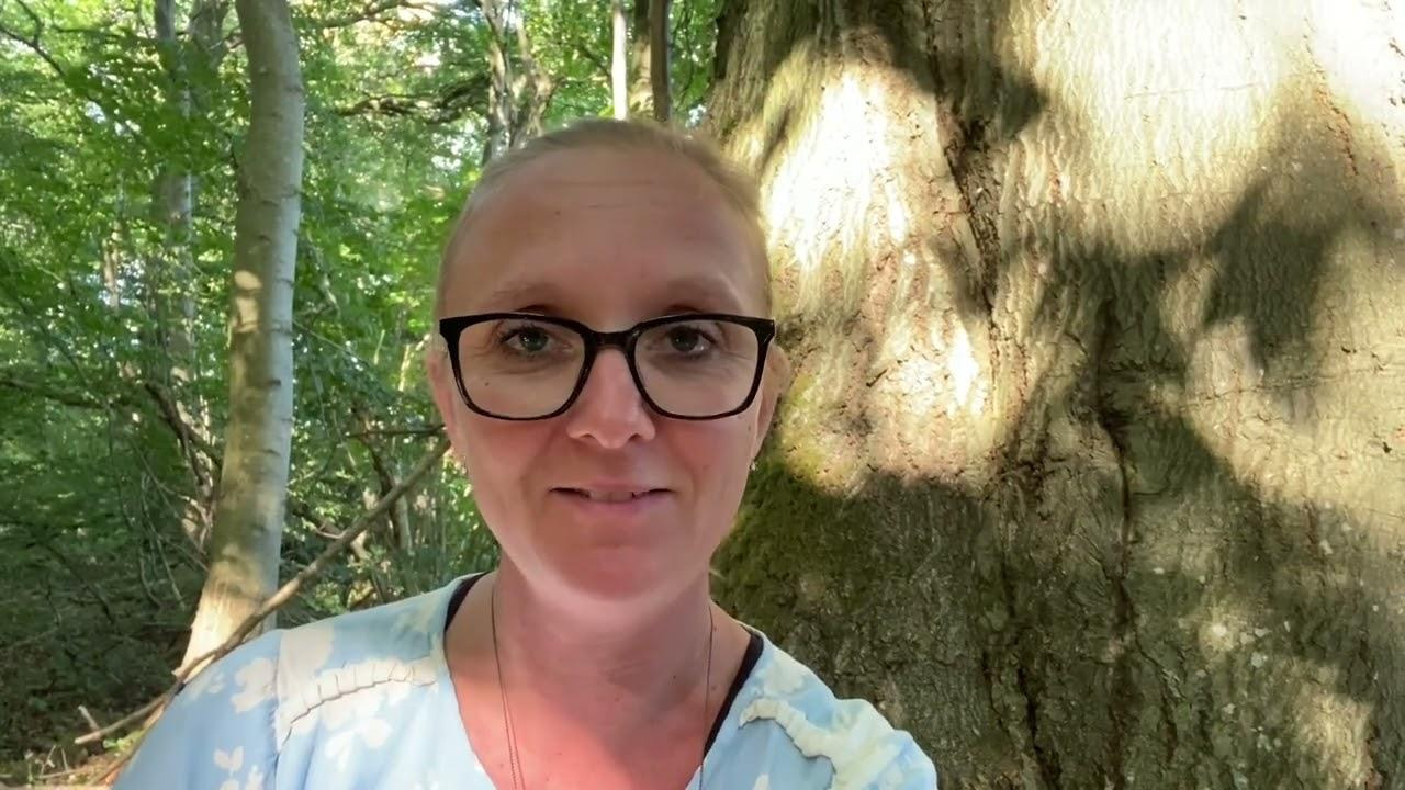 Opdatér dig her: Det nyeste fra Billund