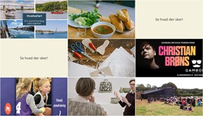 Oplev Middelfart denne weekend: Hvaler, musik, keramik og mere