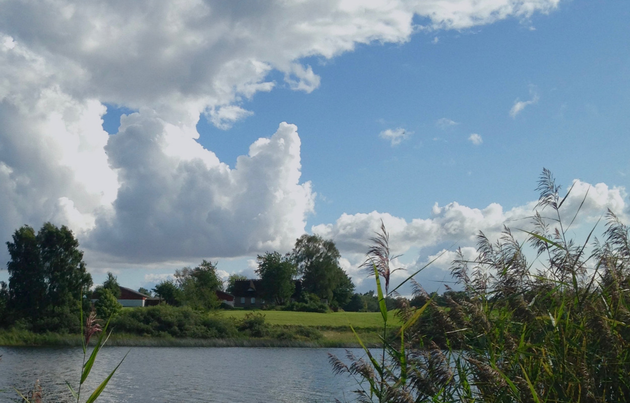 Tvis Mølle Naturlaboratorium: Indvielse og sjove aktiviteter er nu begyndt