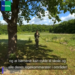 Opslagsbillede