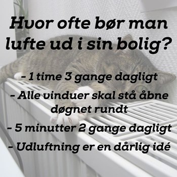 Opslagsbillede
