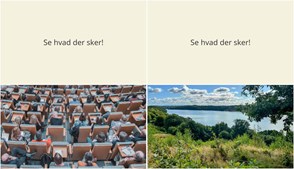 Weekendaktiviteter i Karup: Fra humanitært foredrag til naturskøn vandretur