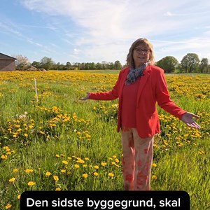 Opslagsbillede