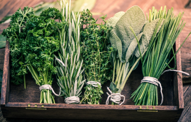 Europas første og eneste økologiske lodrette landbrug ligger i Aars