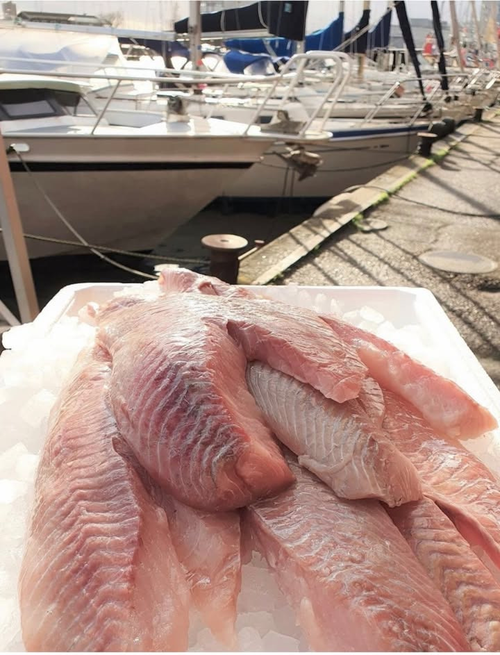 MENY Hobro tilbyder ja tak-tilbud på mørksejfilet til afhentning 25/2