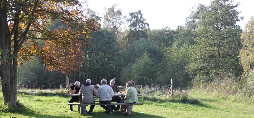 Tag med på en berigende naturoplevelse i Helsinge