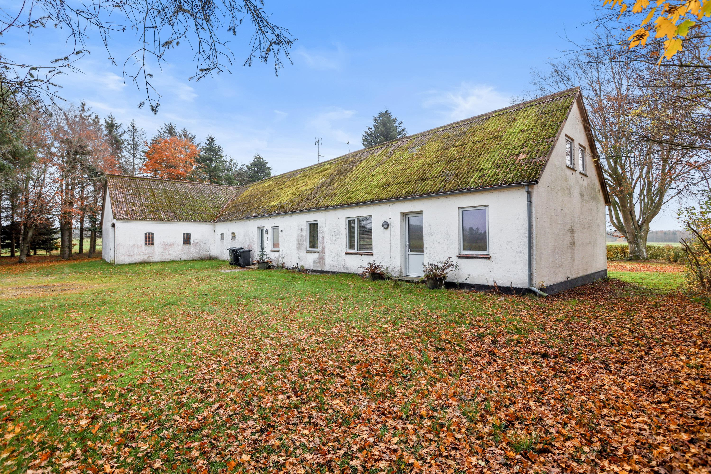 Oddevej 44 er til salg for kun 295.000 kr.: Se de billigste boliger til salg i Fjerritslev her