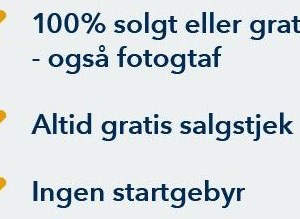Opslagsbillede