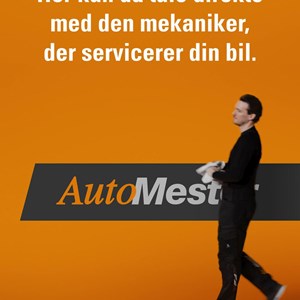 Opslagsbillede