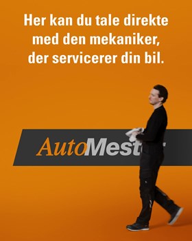 Opslagsbillede