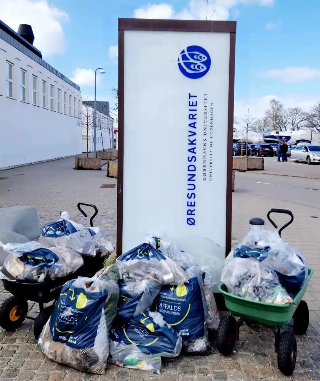 Forårs affaldsindsamling ved Øresundsakvariet