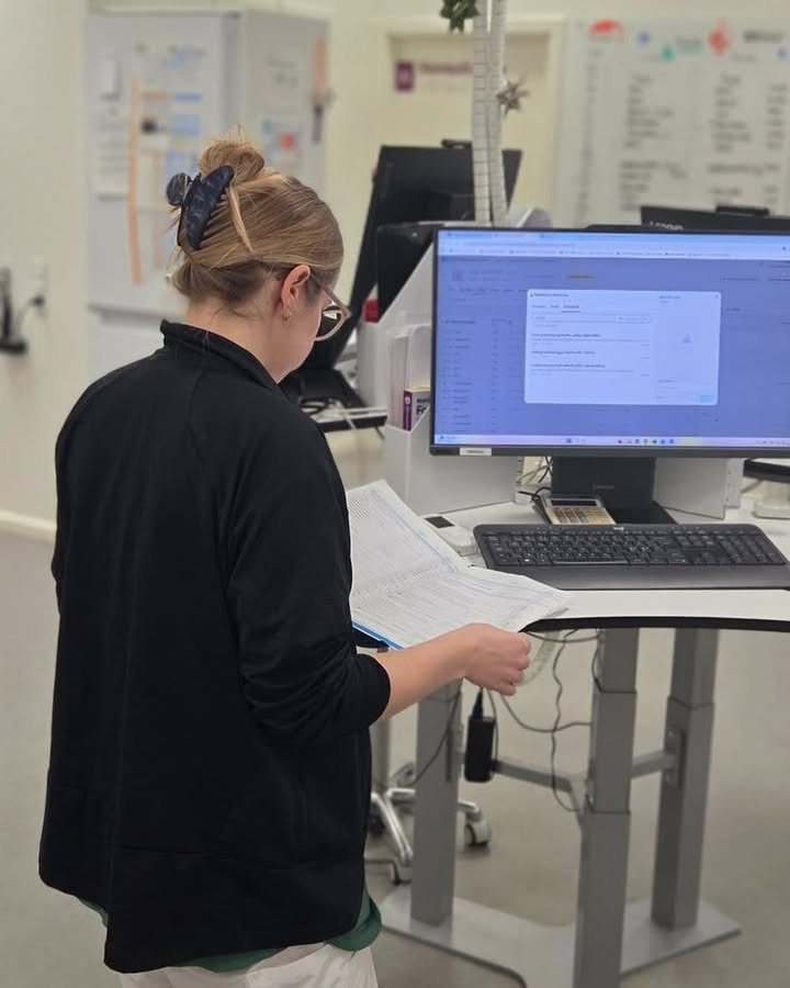 Dyrehospitalet Heden ApS sikrer tryghed for kæledyr i hele julen