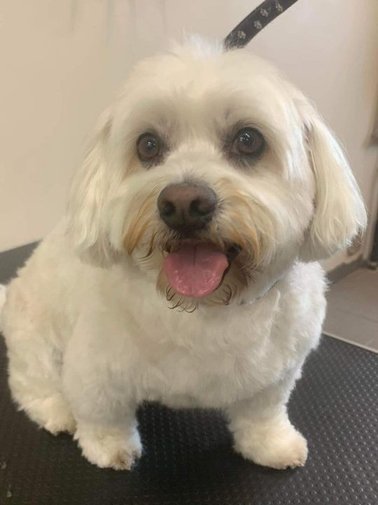 Hold dig ajour med dagens opdateringer fra Sæby