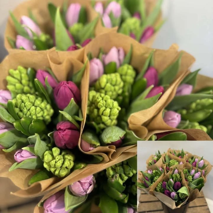 Meny Randers tilbyder tulipan- og hyacintbuket til forårspris