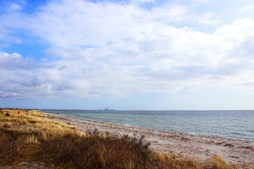 Visionsplan: Strandparken skal moderniseres