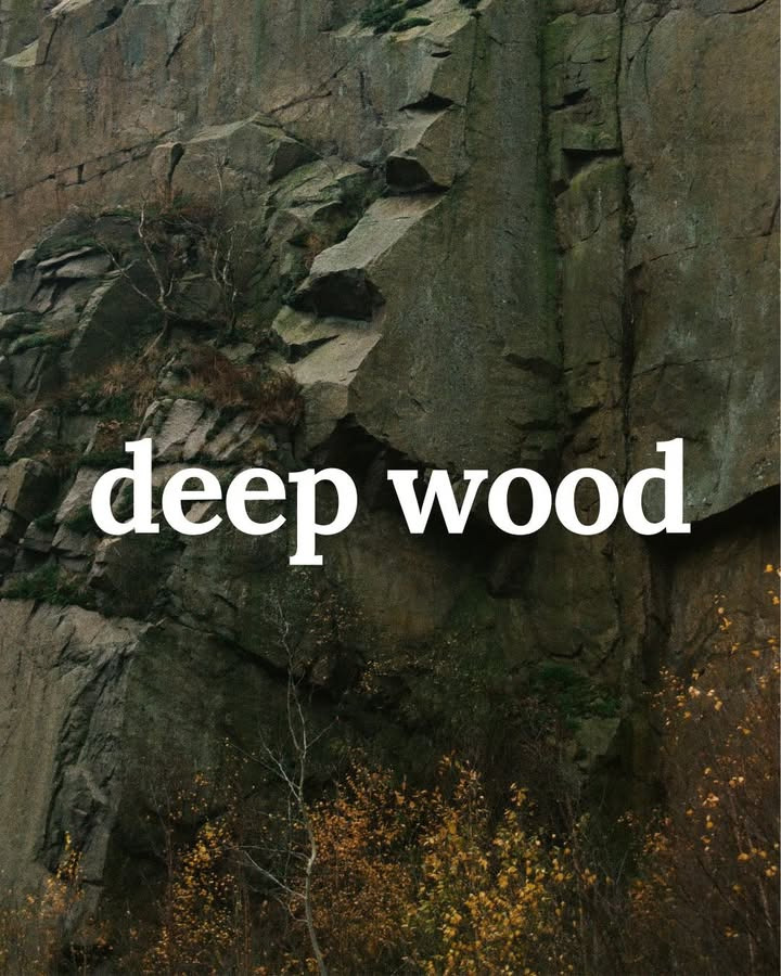 Zenz introducerer Signature Deep Wood: En sansernes rejse til skovens dybder