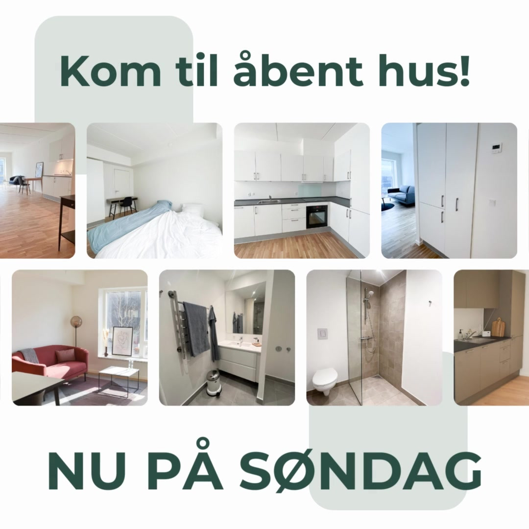 En finger på pulsen i Odense