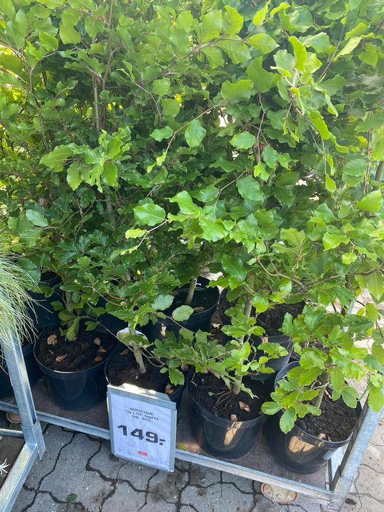 En finger på pulsen i Viby J