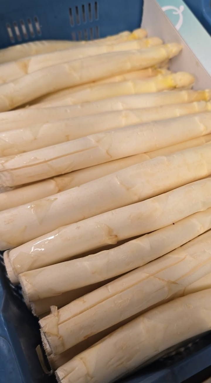 Café Tidslös tilbyder speciel menu med danske hvide asparges