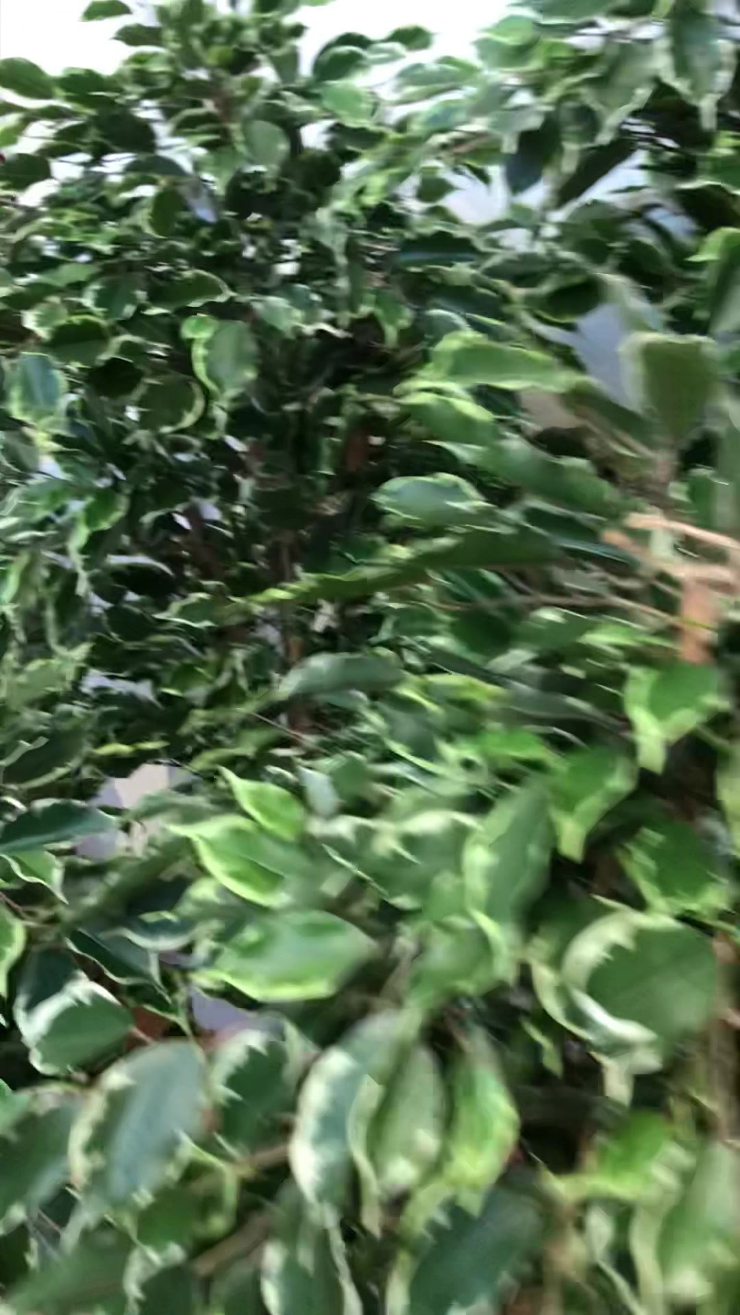 En finger på pulsen i Skive