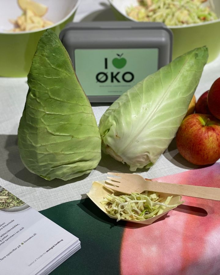 Øko-smagsprøver og gratis madkasser hos REMA 1000 Nordre Strandvej fredag 1. november