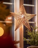 Skaldyrshuset har få smukke julestjerner tilbage – skynd dig at sikre dig en