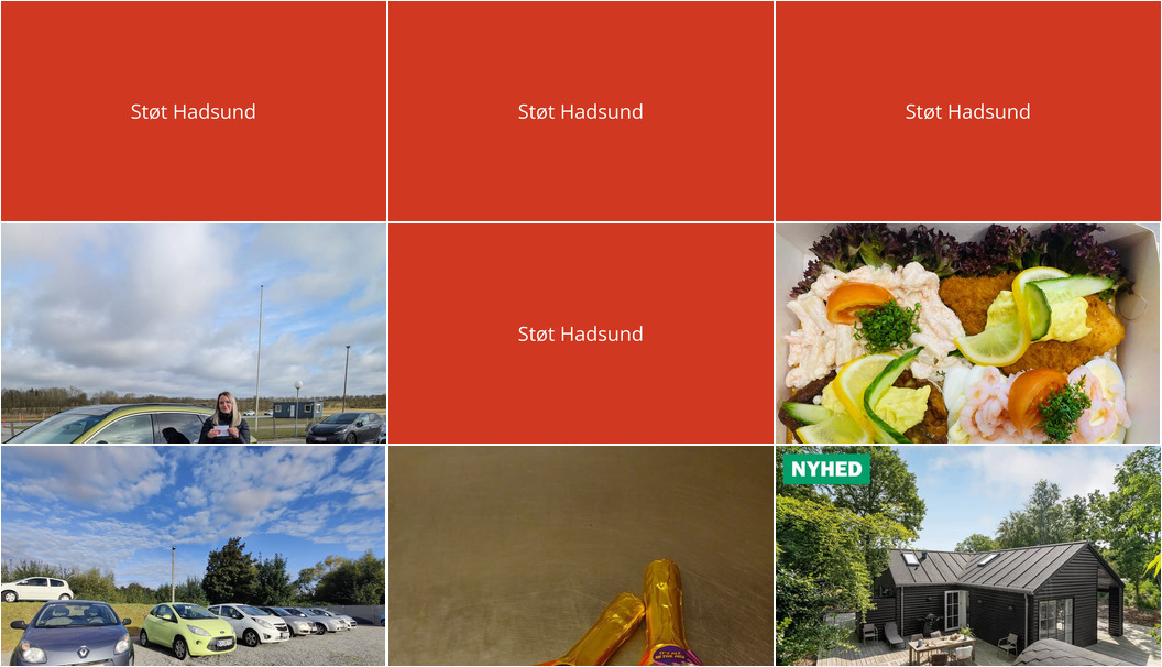 Nyt fra Meny Als, Havnens Fisk Øster Hurup, Kudahls Køreskole og 2 andre