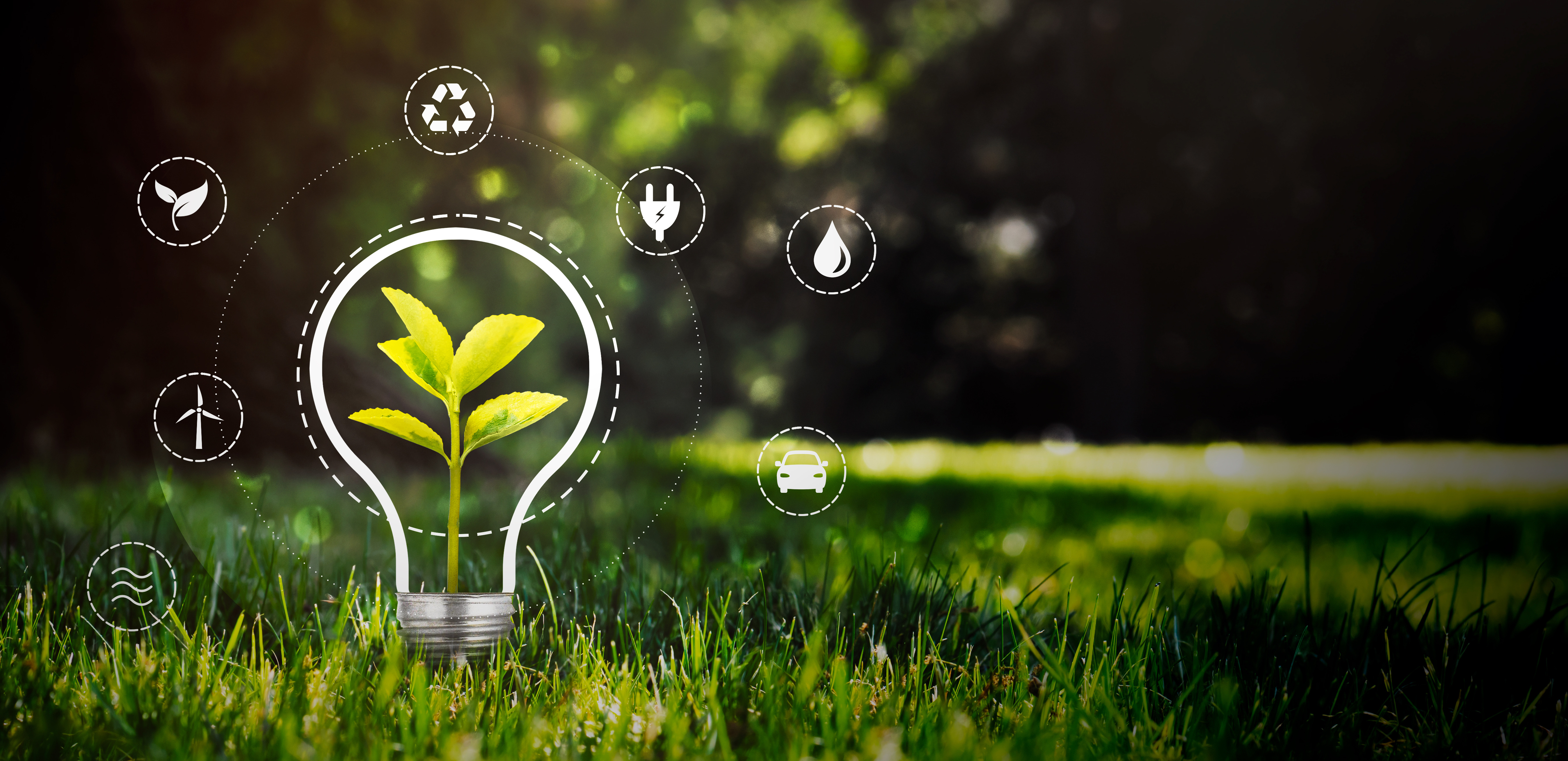 Fremtidsværksted: Form fremtidens natur i Nyborg