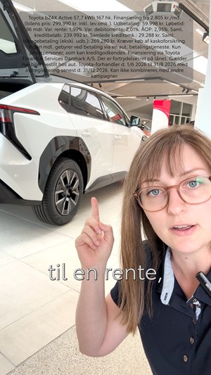 opslagsbillede