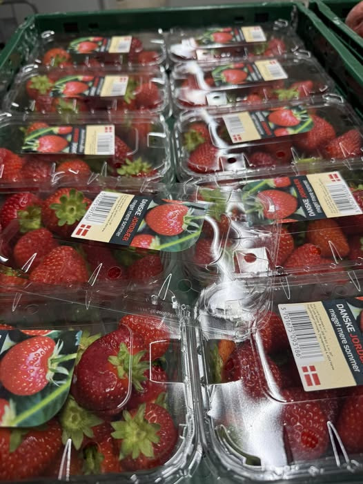 Rema 1000 Ringsted tilbyder jordbær til kun 15 kr i dag