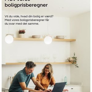Opslagsbillede