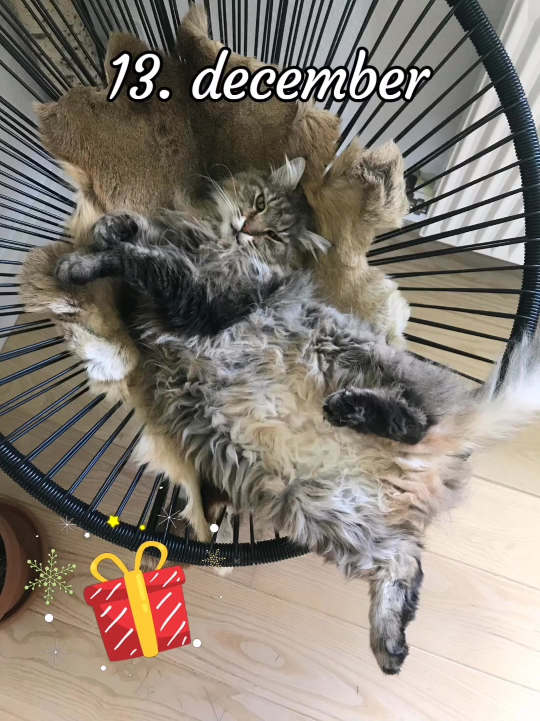 Opdatér dig her: Det nyeste fra Vejle