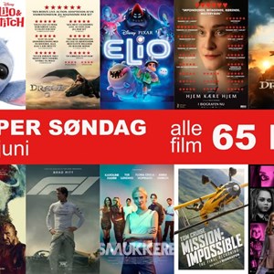 Opslagsbillede