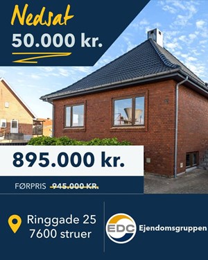 opslagsbillede