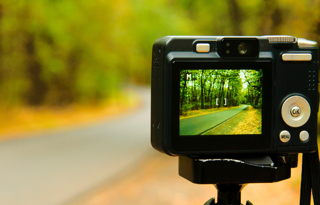 Aalestrup Lægehus udsmykket med fotos fra det lokale dyreliv