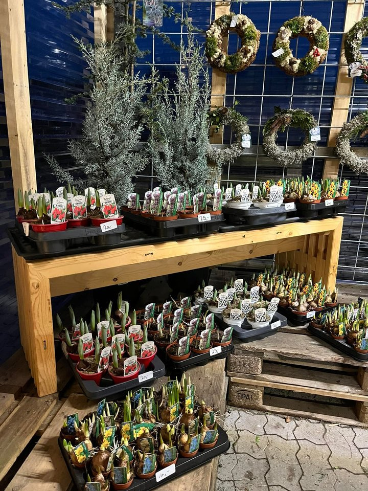 En finger på pulsen i Odder