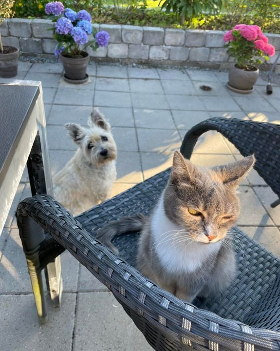 Se dagens updates fra Lystrup her