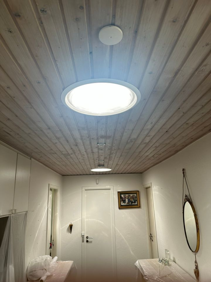 Hold dig ajour med dagens opdateringer fra Them