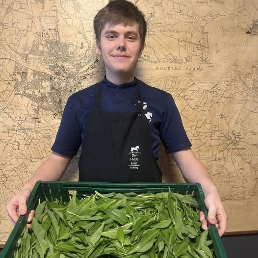 Den Hvide Hest Kolding inviterer til gratis afhentning af ramsløg og fri tid til Mathias