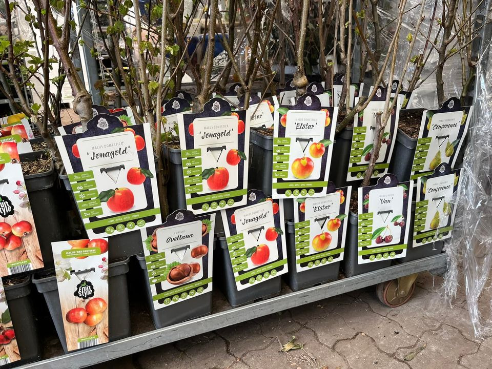 Hold dig ajour med dagens opdateringer fra Hedensted