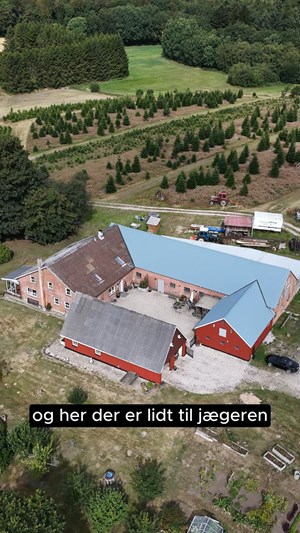 opslagsbillede